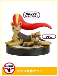 XY03 · Cápsula 4: Litleo y Pyroar